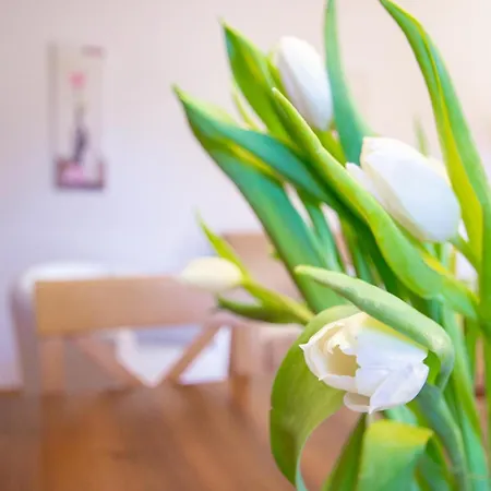 Stranach * St. Michael im Lungau